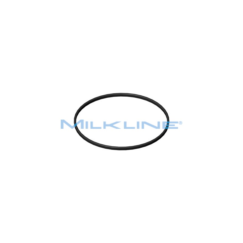 GASKET FOR FISIOTRAP