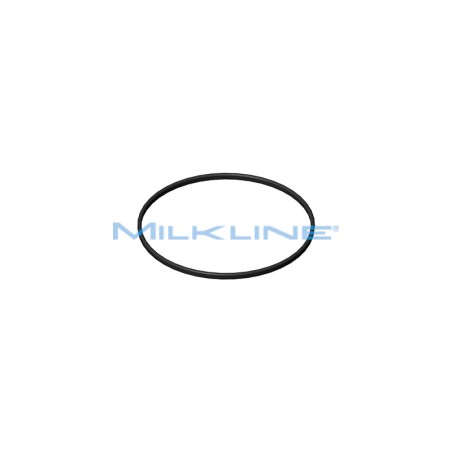 GUARNIZIONE X FISIOTRAP