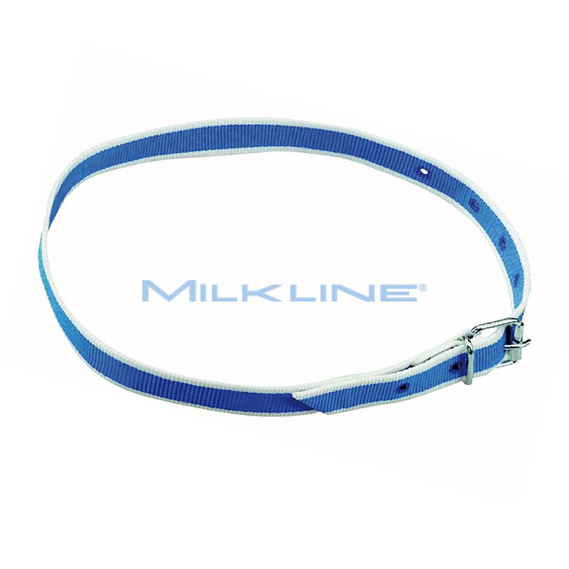 COLLARE IDENT X VACCHE C/FIBBIA B/B 120CM