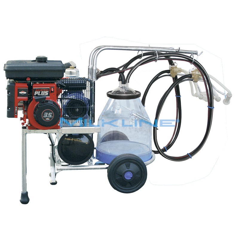 MINI 1/2/S O 250+MOT.SCOPPIO PAST/I SIL P30