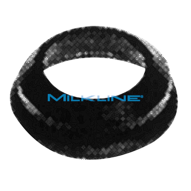 ROTOR SEAL FOR MILK PUMP AD AL PC 900