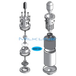 S/S FILTER GASKET LINEAR