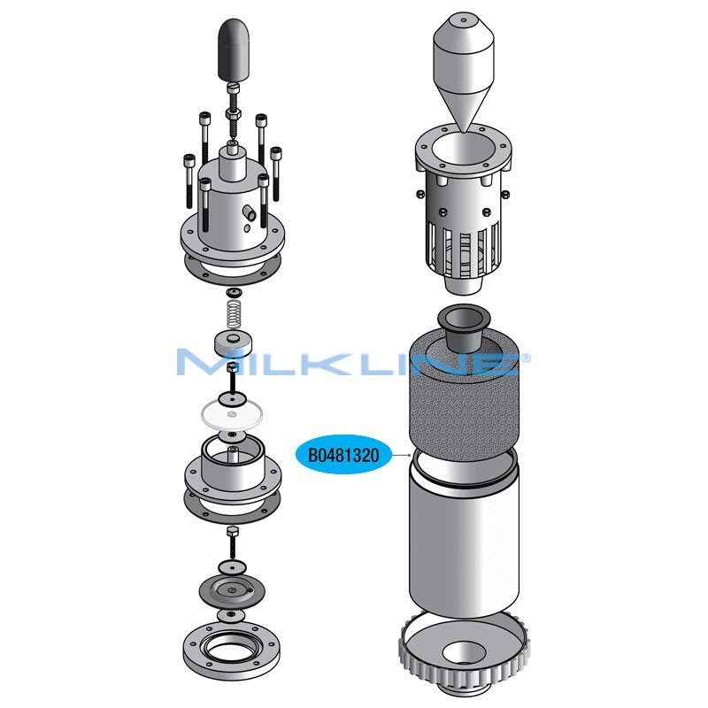 S/S FILTER GASKET LINEAR