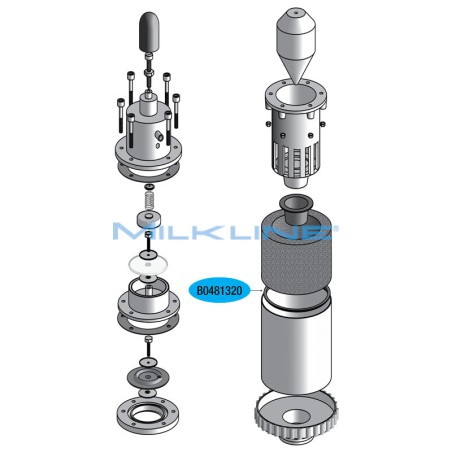 GUARNIZIONE FILTRO INOX LINEAR