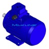 MOTOR KW5,5 4P 400/690V B3