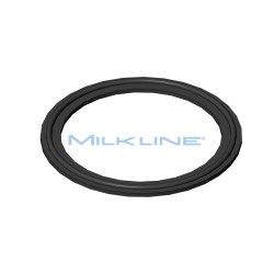 GUARNIZ.TRI-CLAMP IN EPDM D.3"-76