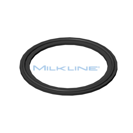 GUARNIZ.TRI-CLAMP IN EPDM D.3"-76