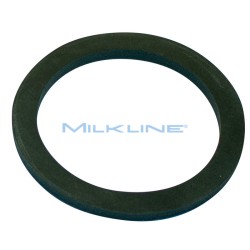 GUARNIZIONE X BOTTIGLIA BIB LT.2,5 SAG