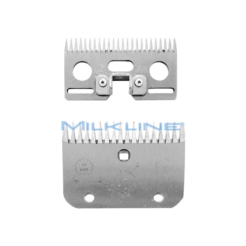 SET PETT+COL A/6 BOVINI