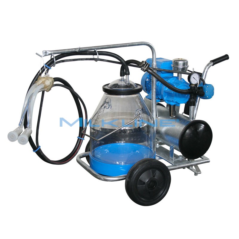 MINI 1 E 180 O 1G PAST/I SIL P30