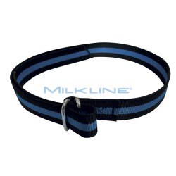 HT BELT 140 - OVAL METAL BUCKLE