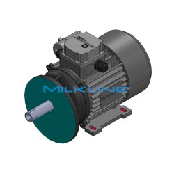 MOTORE ELETT.FL.KW0,75 4P 230V SECCO/OLIO