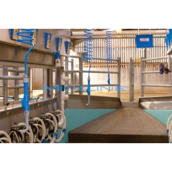 TEATSPRAY SET COMPLETO 3 POSTI TN