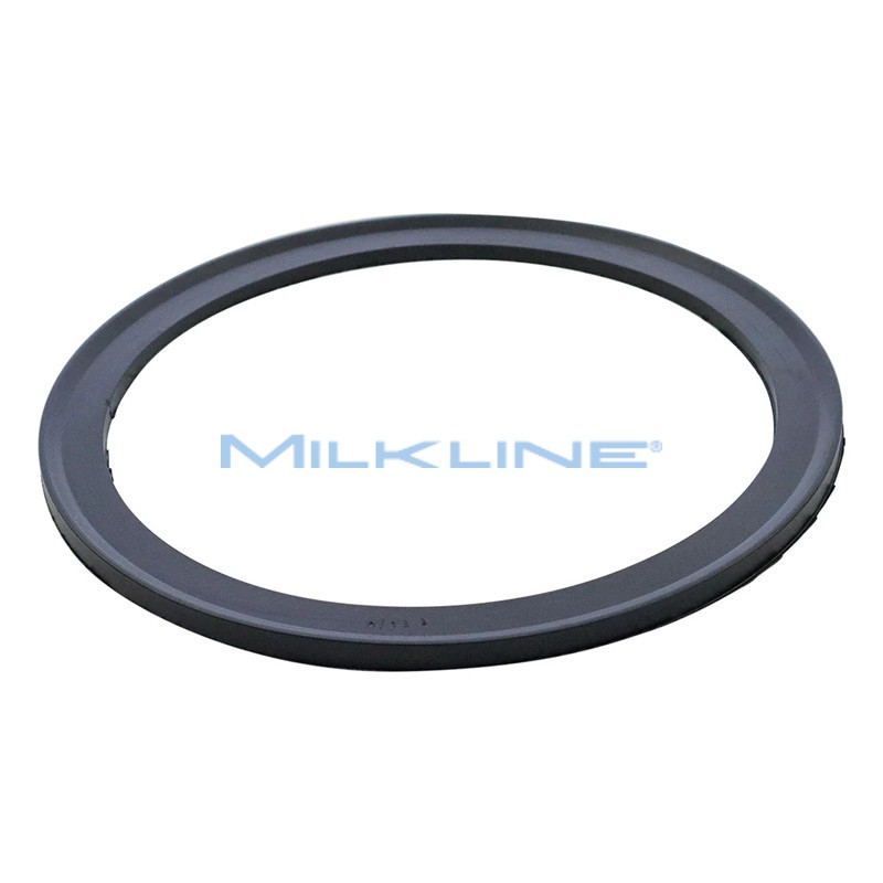 GUARNIZ.COP.CHRISTENSEN155X215