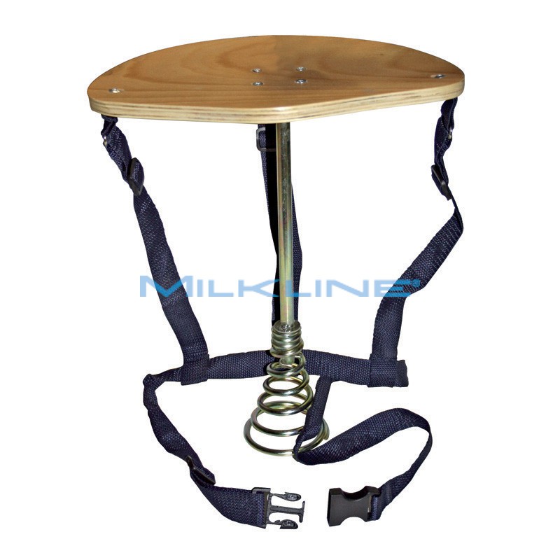 SEGGIOLINO TEXAS TEDESCO