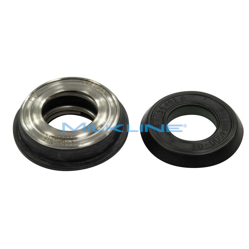 COPPIA TENUTE MECCANICHE POMPA 4100/4600