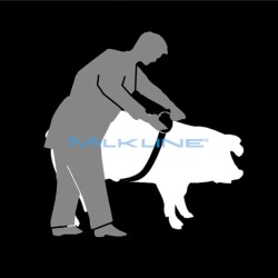 RIBBON WEIGHT METER - LIVESTOCK K