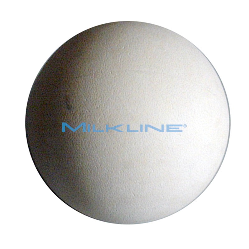 NON RETURN VALVE FOR MILK PUMP WF