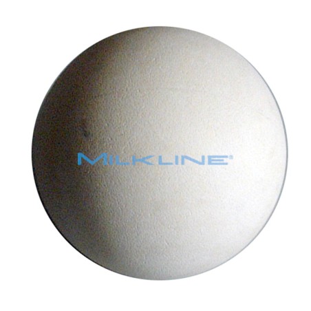 NON RETURN VALVE FOR MILK PUMP WF