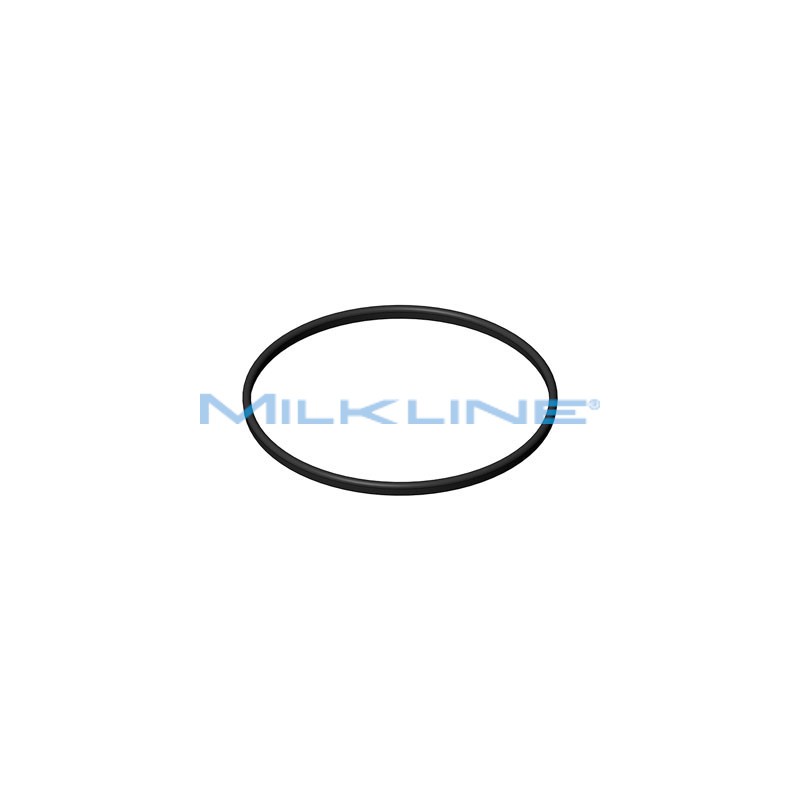 GUARNIZIONE X SANITARIO ORIZZ L30