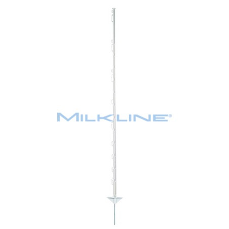 SET 10 PICC MULTIF B RINF H150/130 2PED