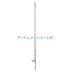 SET 10 PICCH MULTIF STD BIANCO H108/83