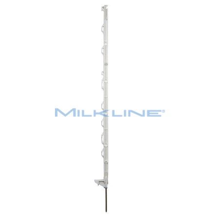 SET 10 PICCH MULTIF STD BIANCO H108/83