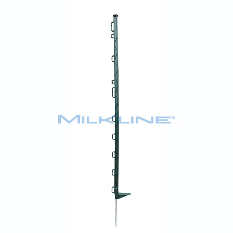 BANCALE DI 112 SET DA 10 PICCH. VERDI 102CM