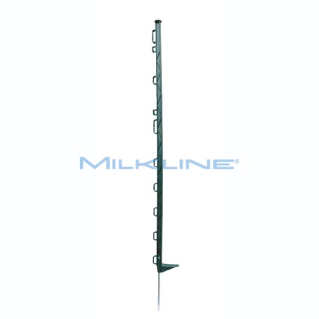 BANCALE DI 112 SET DA 10 PICCH. VERDI 102CM