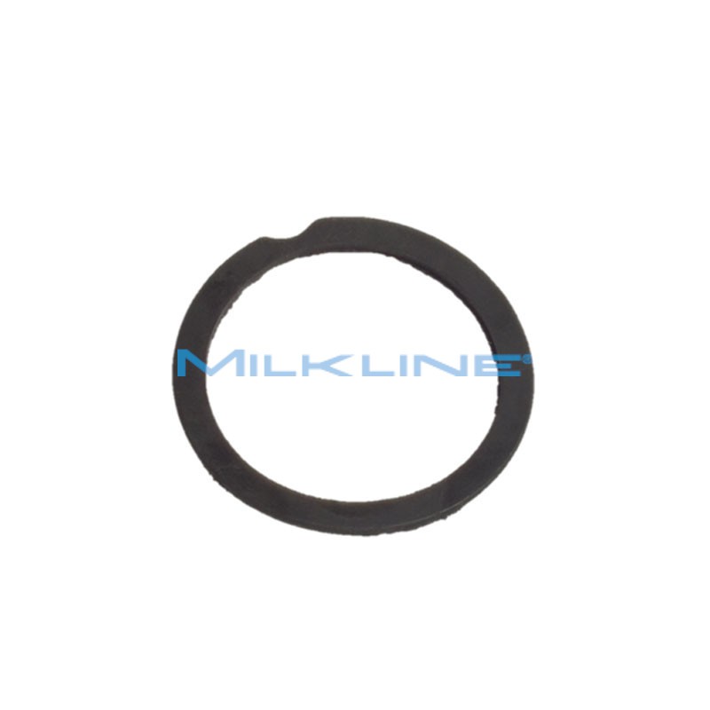 PROTECTION GASKET FOR INTERCEPTION TANK D.63