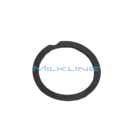 PROTECTION GASKET FOR INTERCEPTION TANK D.63