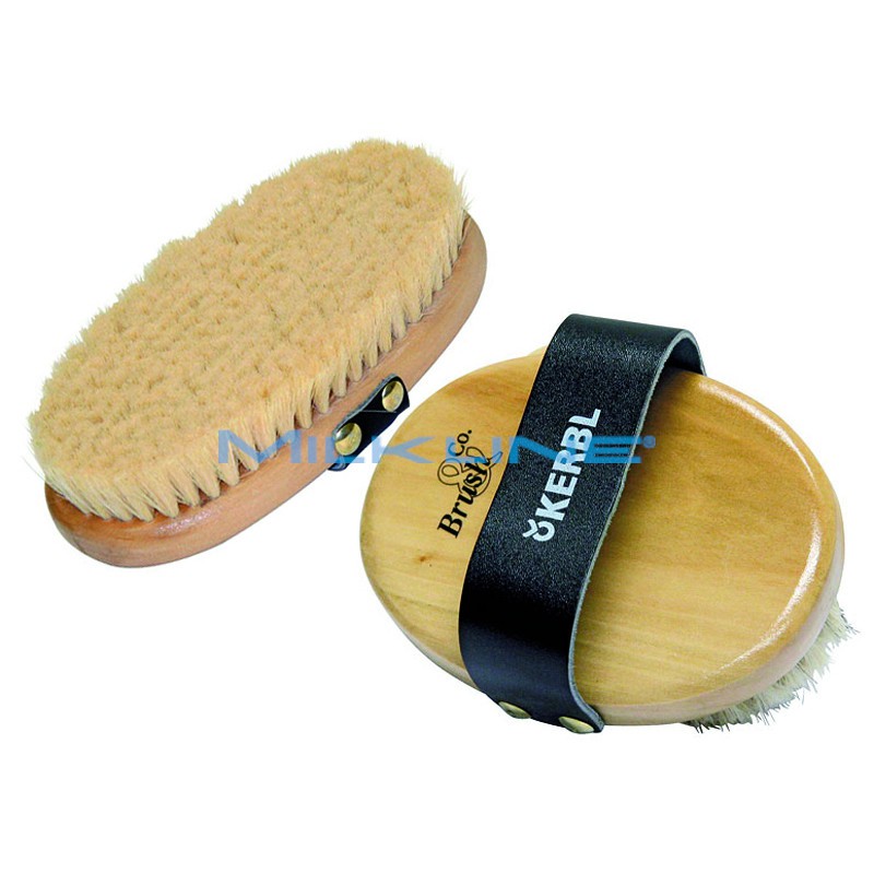 BRUSCA JUNIOR MORBIDA PER CAVALLI