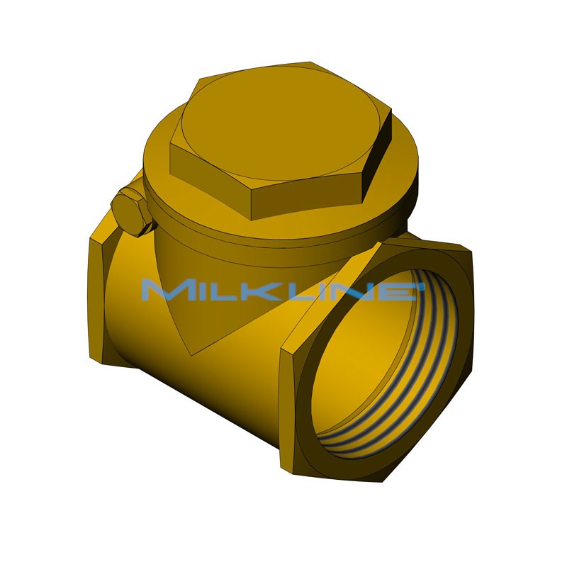 BRASS NON RETURN VALVE 2"R