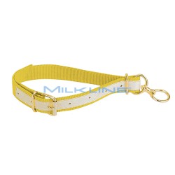 COLLARE SENZA CATENA X VITELLI