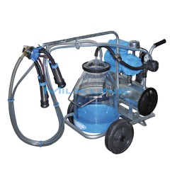 MINI 1 E 180L 1G N/I 1124 P30