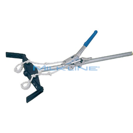 AIUTOPARTO STANDARD EXPORT