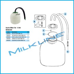 RECIPIENTE QUARTER MILKER TED