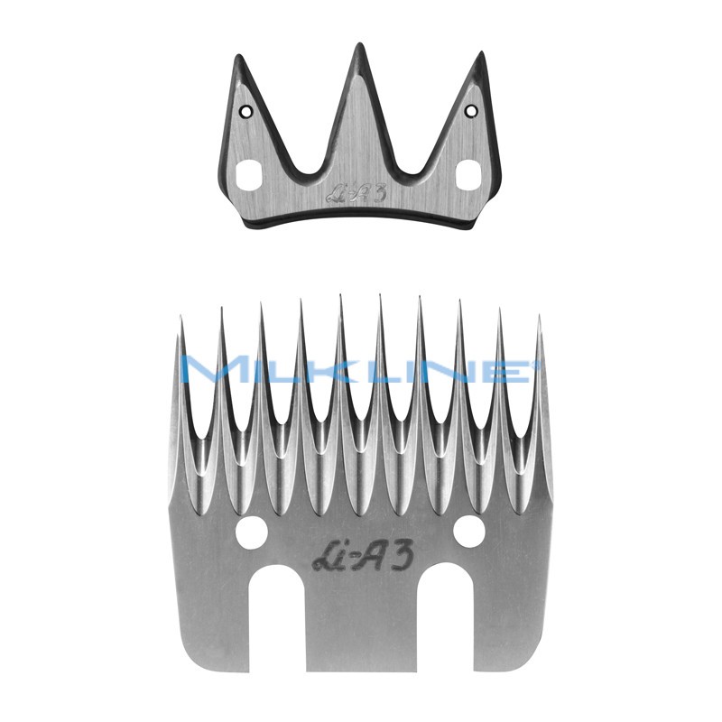 SET PETT+COL A/3 OVINI