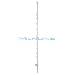 SET 10 PICCH MULTIF STD BIANCO H138/125