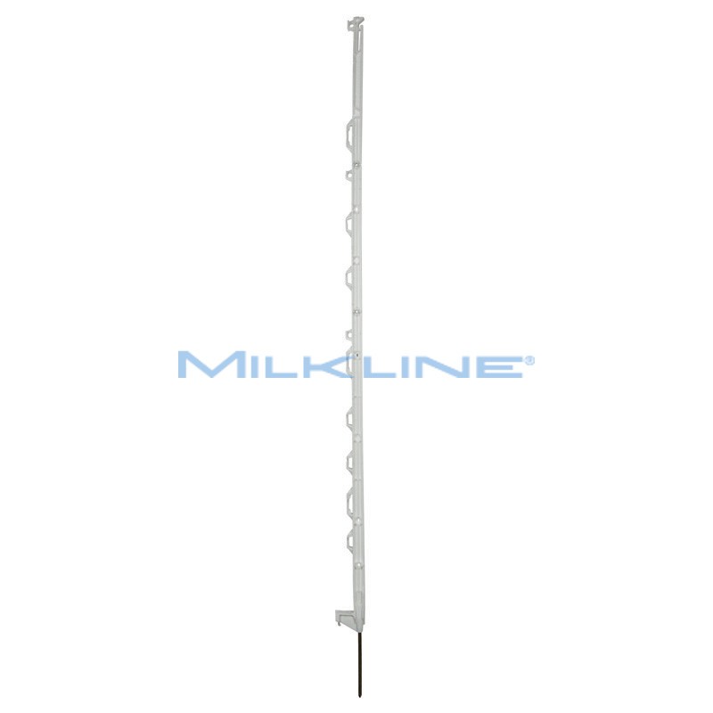 SET 10 PICCH MULTIF STD BIANCO H138/125