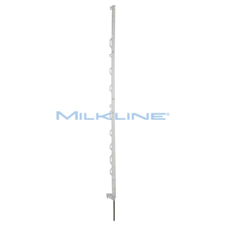 SET 10 PICCH MULTIF STD BIANCO H138/125