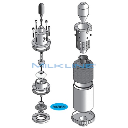 LOWER DIAPHRAGM WITH VACUREX NOZZLE WF