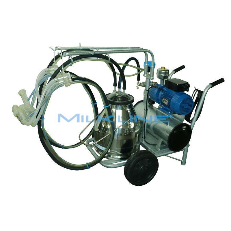 MINI 1/2/S C 190 N/I SIL S/S25