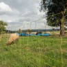 VERTICAL SHEEP NET 90CM 1P 50MT