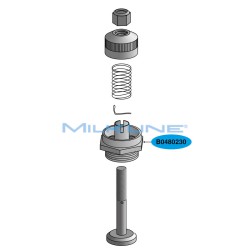 BODY BRASS SPRING VALVE 3/4