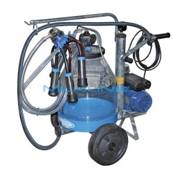 ECONOMY 1 E 140 1G N/I 1124 P30