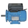 MOTORE KW0,75 4P 230V FLA+INT (PM4) SECCO