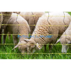 RETE ANTILUPO 145CM 2P 50MT