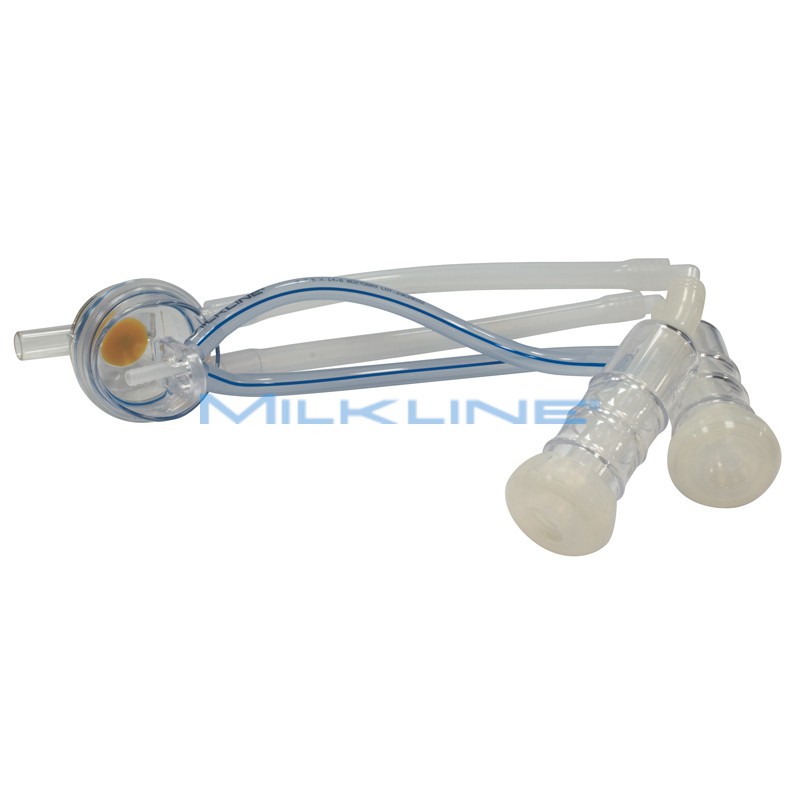 GRUPPO MUNG CAPRINI ML/OC GC SIL