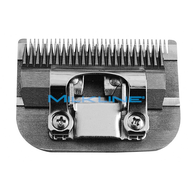 TESTATA X PPT-HARM-AKKU TAGLIO 1MM